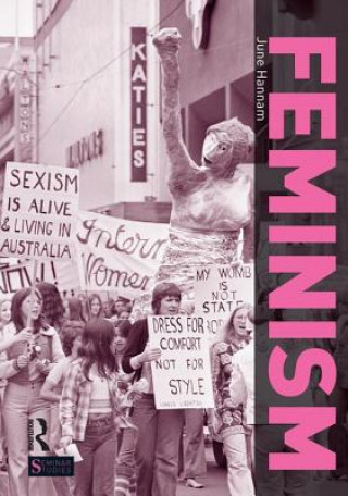 Könyv Feminism HANNAM