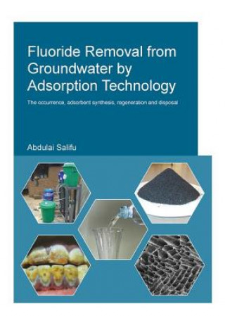 Βιβλίο Fluoride Removal from Groundwater by Adsorption Technology SALIFU