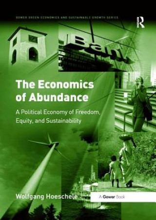 Kniha Economics of Abundance HOESCHELE