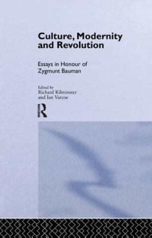 Kniha Culture, Modernity and Revolution 