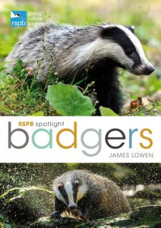 Kniha RSPB Spotlight: Badgers James Lowen