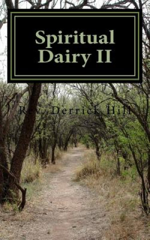 Book Spiritual Dairy II Derrick Allen Hill Phd