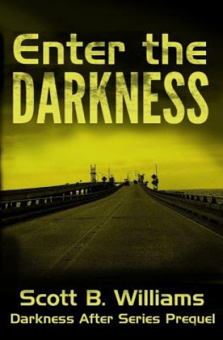 Book Enter the Darkness: A Darkness After Series Prequel Scott B Williams