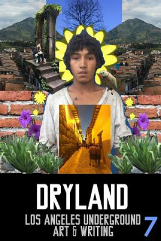 Buch Dryland: Los Angeles Underground Art & Writing Anna Lilia Urena