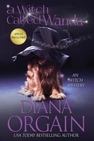 Knjiga A Witch Called Wanda Diana Orgain