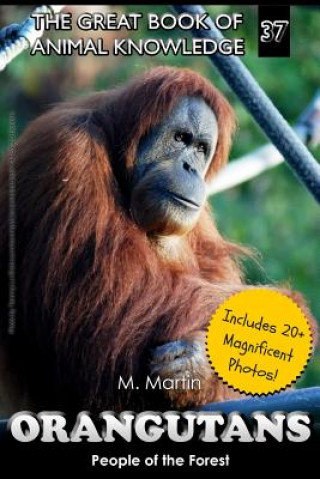 Kniha Orangutans: People of the Forest M Martin