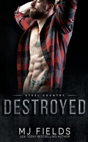 Buch Destroyed: Falcon Brothers Mj Fields