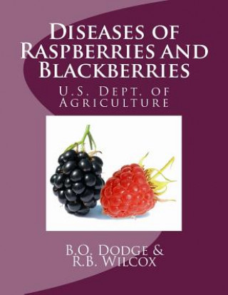 Kniha Diseases of Raspberries and Blackberries B O Dodge