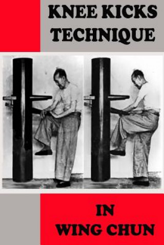 Kniha Knee kicks technique in Wing Chun Semyon Neskorodev
