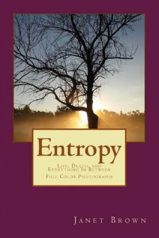 Kniha Entropy: Life, Death, and Everything in Between Color Edition Janet M Brown