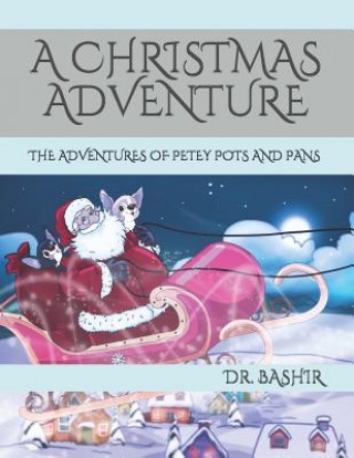 Kniha A Christmas Adventure: The Adventures of Petey Pots and Pans Mar Fandos