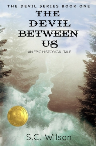 Knjiga Devil Between Us S C Wilson