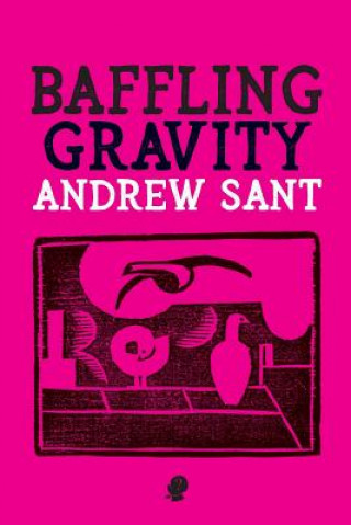 Book Baffling Gravity Andrew Sant