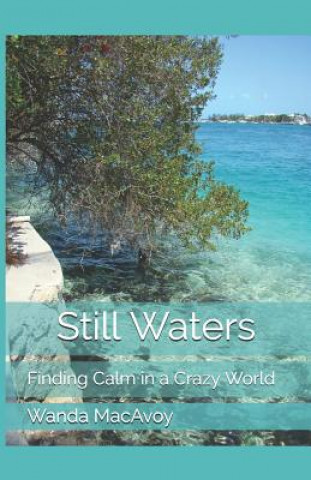 Buch Still Waters Wanda MacAvoy