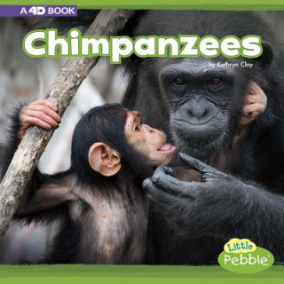 Kniha Chimpanzees: A 4D Book Kathryn Clay
