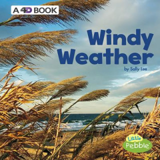 Könyv Windy Weather: A 4D Book Sally Lee