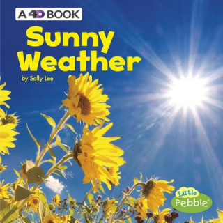 Könyv Sunny Weather: A 4D Book Sally Lee