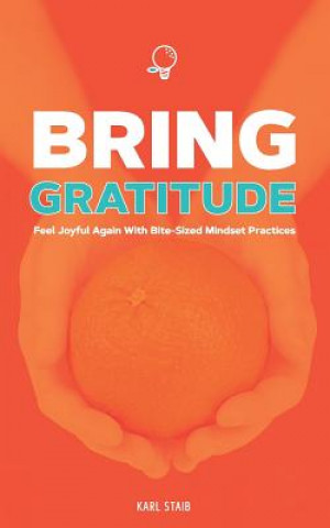 Knjiga Bring Gratitude: Feel Joyful Again with Bite-Sized Mindset Practices Karl Staib