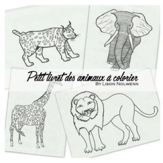 Kniha petit livret des animaux a colorier Lison Nolwenn