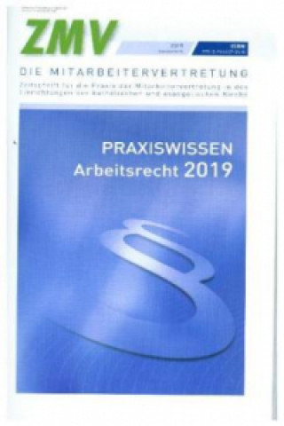Kniha Praxiswissen Arbeitsrecht 2019 Detlev Fey