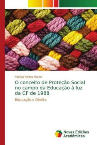 Kniha O conceito de Protecao Social no campo da Educacao a luz da CF de 1988 Patrícia Fontes Marcal
