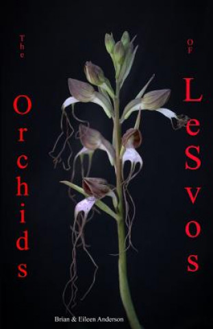 Kniha Orchids of Lesvos Eileen Anderson