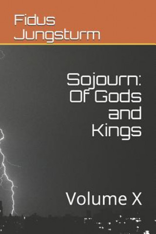 Kniha Sojourn: Of Gods and Kings: Volume X Fidus Jungsturm