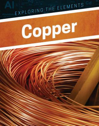 Book Copper Clara Maccarald