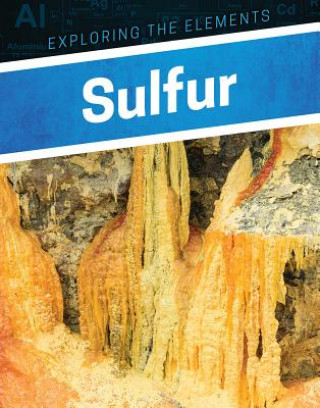Knjiga Sulfur Elise Tobler