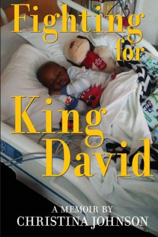 Knjiga Fighting for King David Christina L Johnson