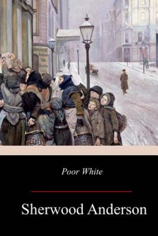 Knjiga Poor White Sherwood Anderson