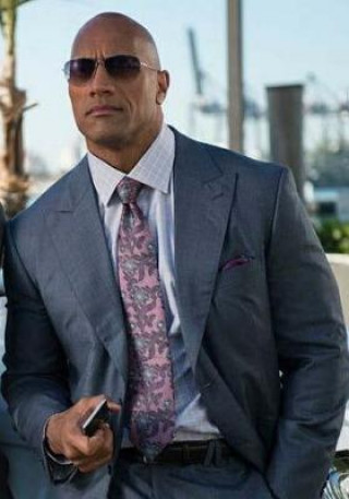 Könyv Dwayne Johnson Diary Darrell Butters