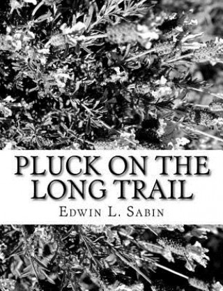 Knjiga Pluck on the Long Trail Edwin L Sabin
