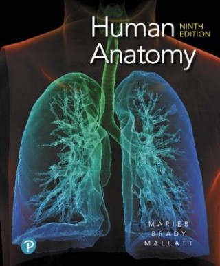 Kniha Human Anatomy Elaine N. Marieb