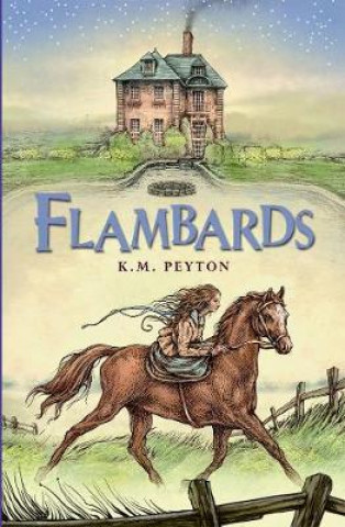 Book Flambards K. M. Peyton