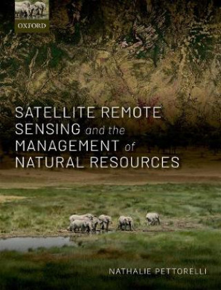 Kniha Satellite Remote Sensing and the Management of Natural Resources Pettorelli