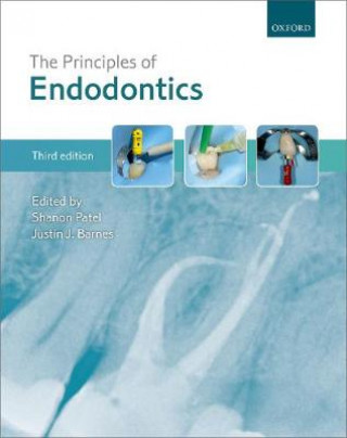 Könyv Principles of Endodontics Shanon Patel