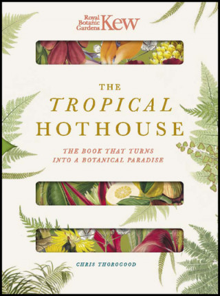 Carte Royal Botanic Gardens Kew - The Tropical Hothouse CHRIS THOROGOOD