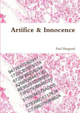 Buch Artifice & Innocence Paul Sheppard