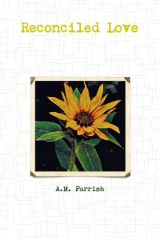 Book Reconciled Love A M Parrish