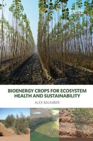 Carte Bioenergy Crops for Ecosystem Health and Sustainability Baumber