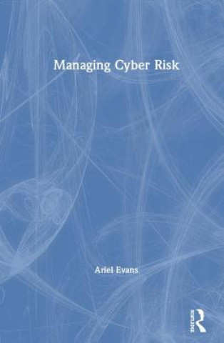 Kniha Managing Cyber Risk Ariel Evans
