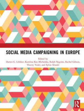 Könyv Social Media Campaigning in Europe 