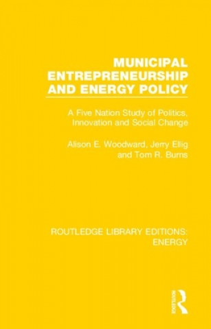 Kniha Municipal Entrepreneurship and Energy Policy Alison E. Woodward