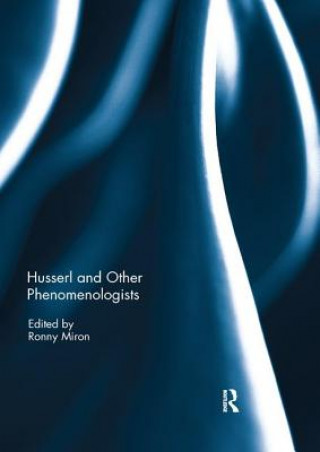 Kniha Husserl and Other Phenomenologists 