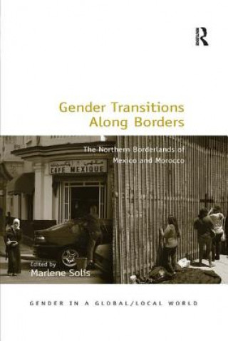 Kniha Gender Transitions Along Borders 