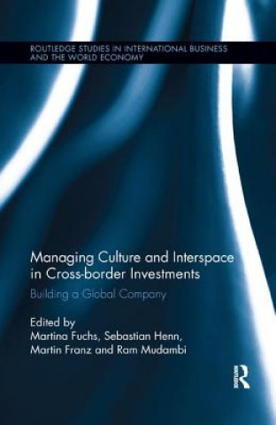 Könyv Managing Culture and Interspace in Cross-border Investments 