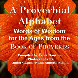 Kniha Proverbial Alphabet Janet Gauthier