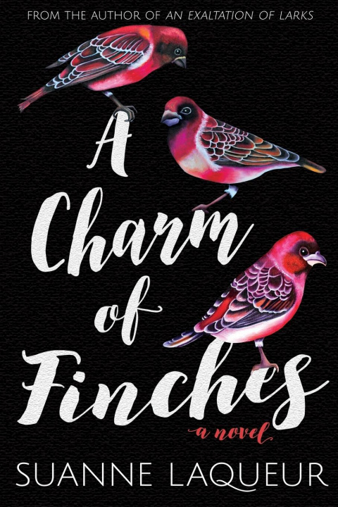 Kniha Charm of Finches Suanne Laqueur