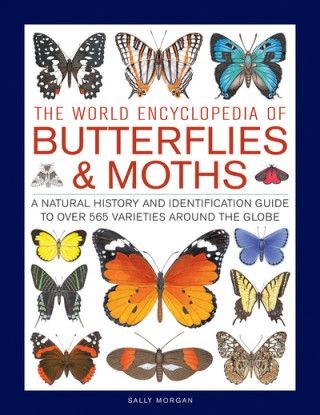 Książka Butterflies & Moths, The World Encyclopedia of Sally Morgan